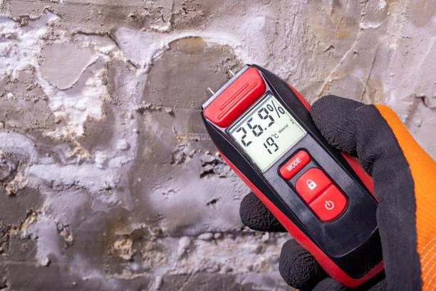 Best Basement Mold Remediation in Patterson, CA