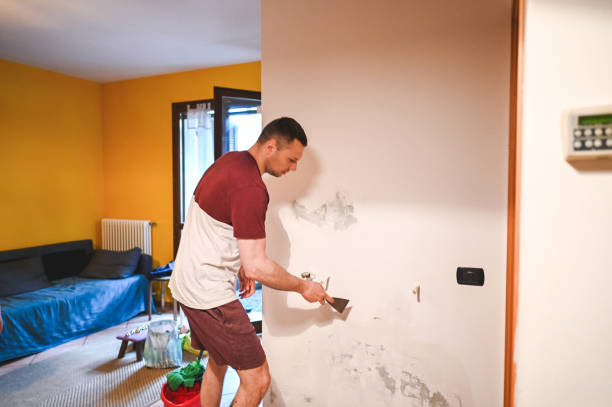 Reliable Patterson, CA Mold Remediation Solutions